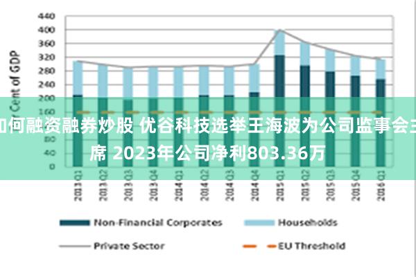 如何融资融券炒股 优谷科技选举王海波为公司监事会主席 2023年公司净利803.36万