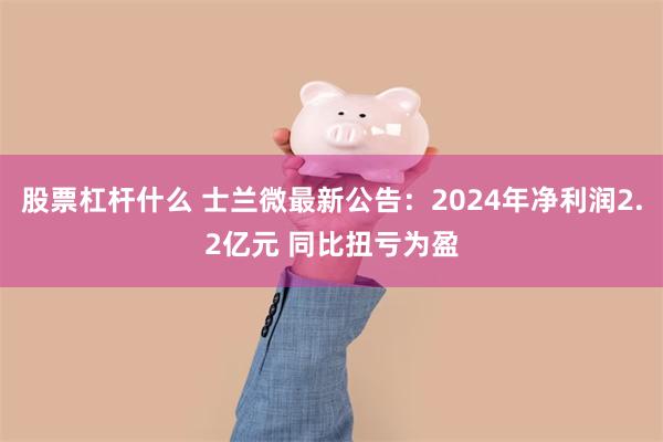 股票杠杆什么 士兰微最新公告：2024年净利润2.2亿元 同比扭亏为盈